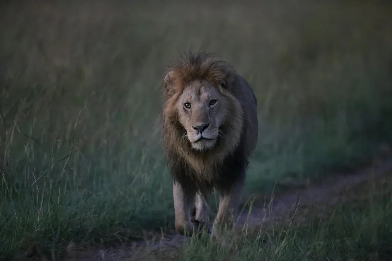 The Civil Service Is Running Britain — And Nobody Voted for Them