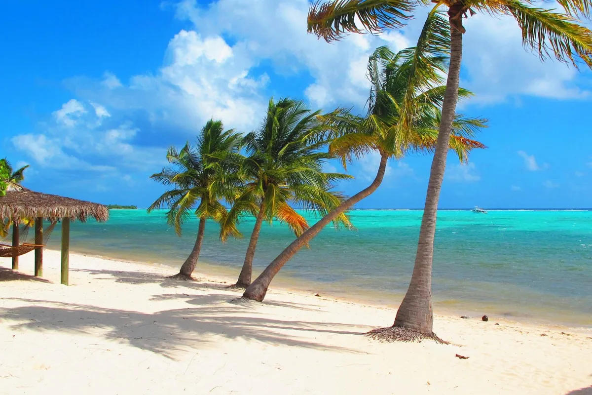 Cayman Islands